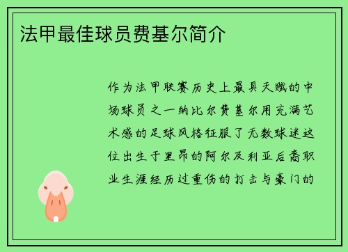 法甲最佳球员费基尔简介